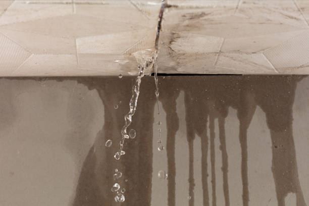 Professional Flood Damage Cleanup technician working in Bouton, IA